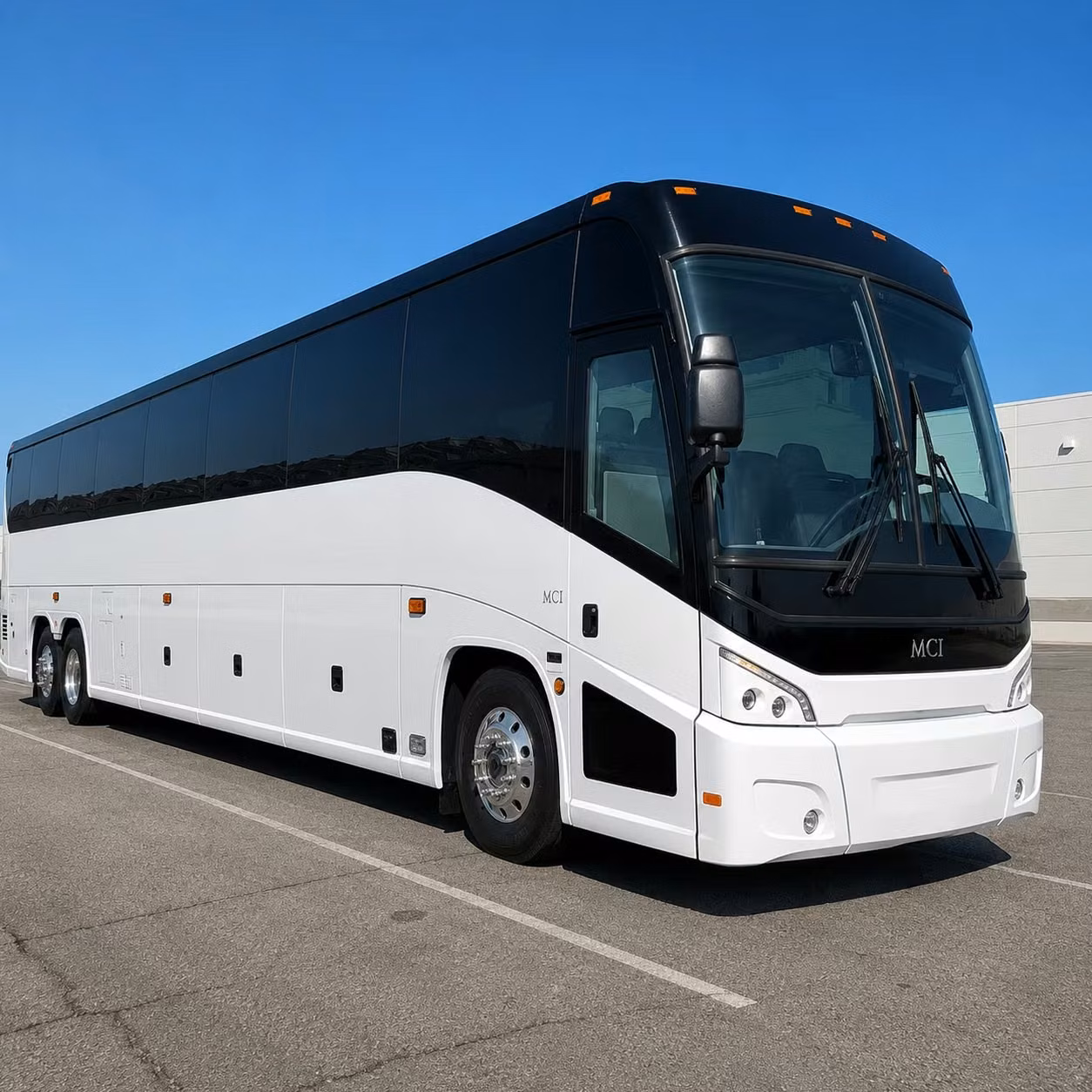 cross border concert groups and multi city south texas concert tours
